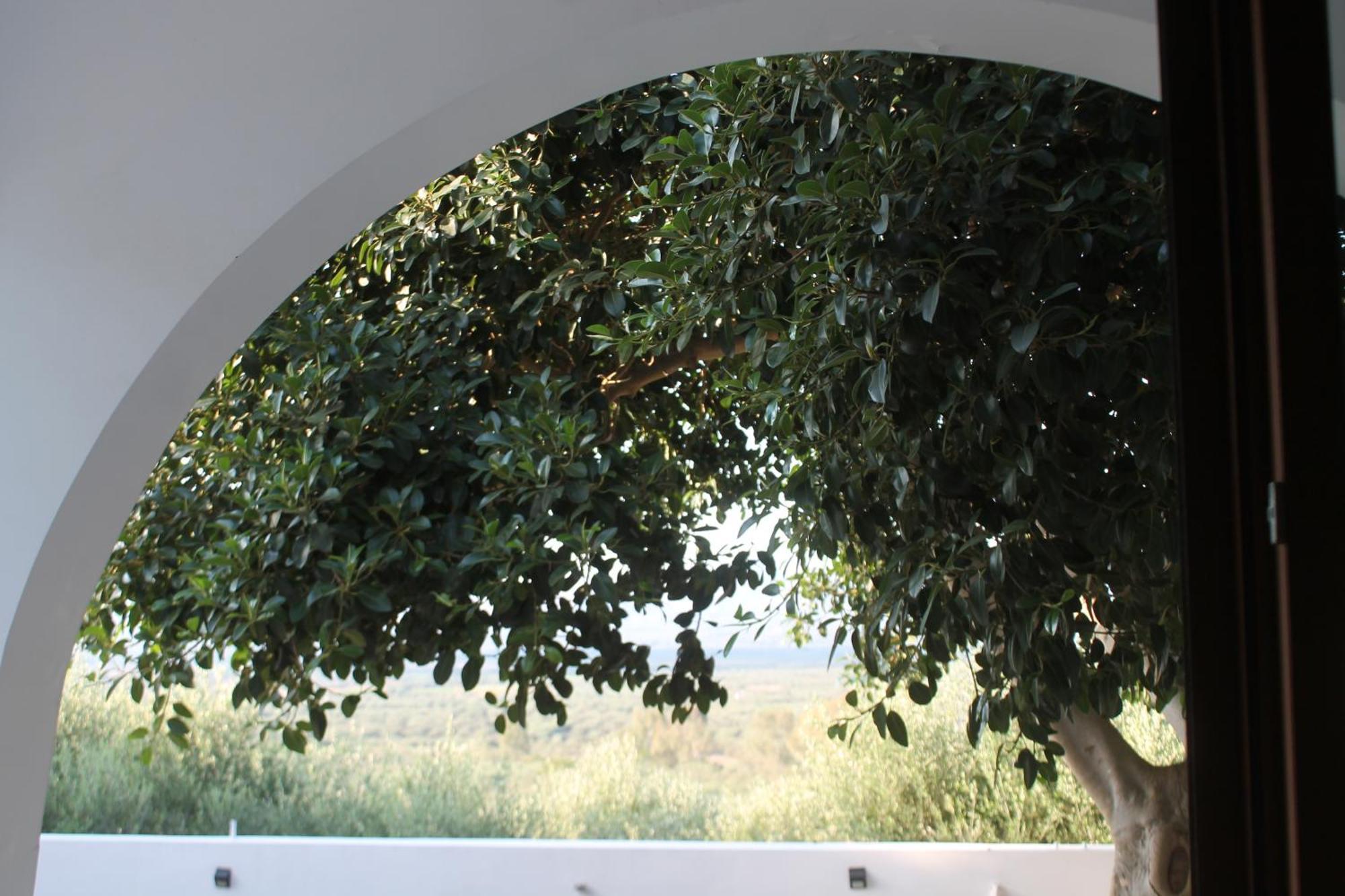 A Crystal Clear House In Pyrgos, Heraklion Crete Pirgos  エクステリア 写真
