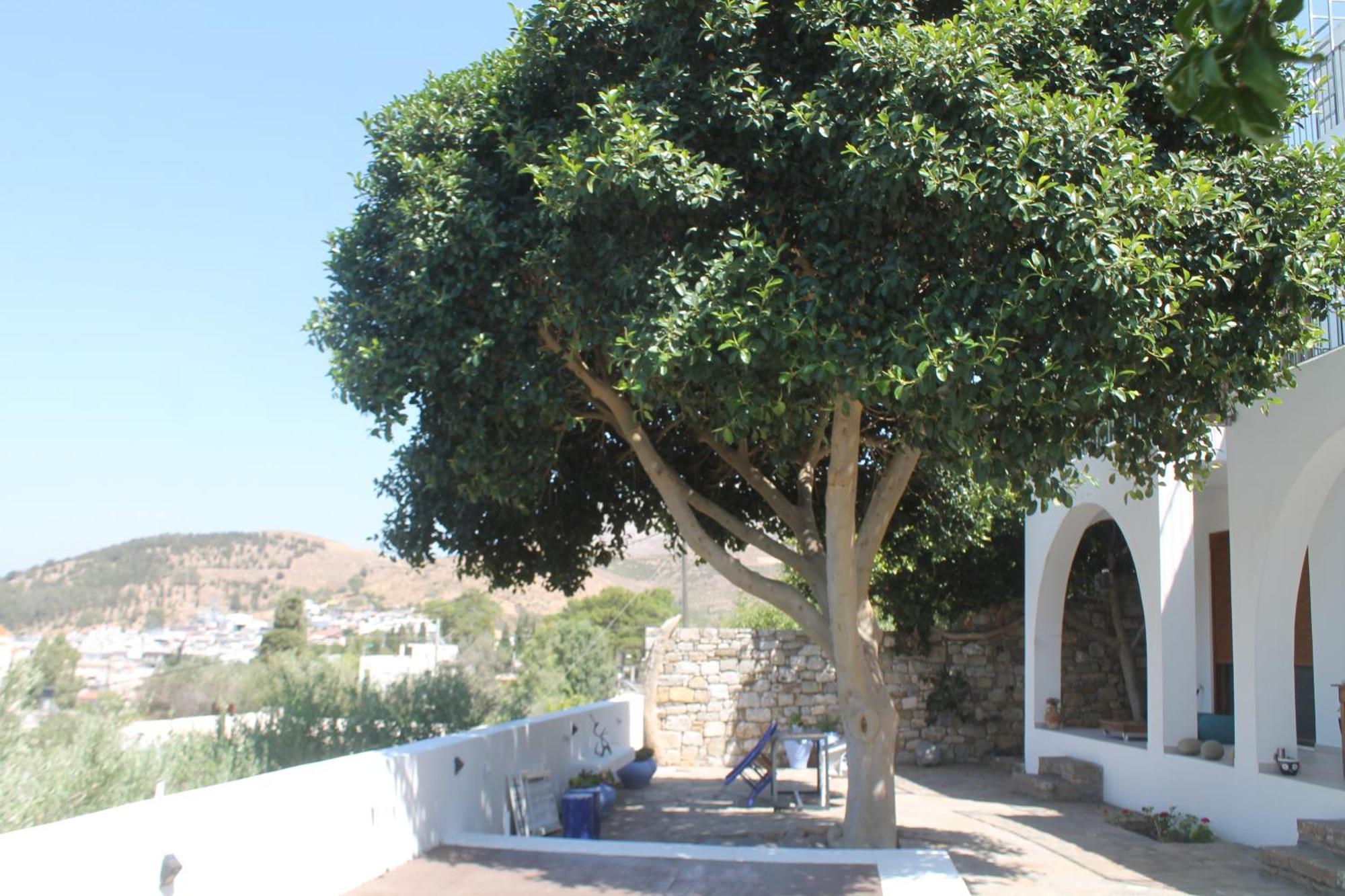 A Crystal Clear House In Pyrgos, Heraklion Crete Pirgos  エクステリア 写真